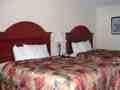 Econo Lodge image 3