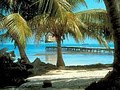 Vacations, Discount Travel, Wholesale Travel Deals - www.KoDreamVacations.com logo