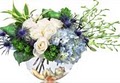 dr delphinium designs & events image 9