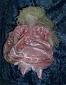 Realms of Gold Inc.:  Fairy Tale Dolls and Stuffed Animals Creation & Repair image 4