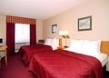 Comfort Inn image 10