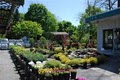 Kings Park Garden Center image 1