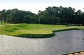 Golf Academy at the Sea Pines Resort image 4