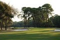 Port Royal Golf & Racquet Club image 2