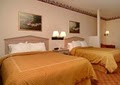 Comfort Suites image 2