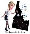 Elite Domestic Services logo