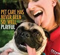 Fetch! Pet Care of Treasure Valley image 9