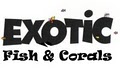 Exotic Fish and Corals logo