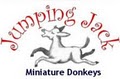 Jumping Jack Miniature Donkeys logo