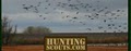 Huntingscouts LLC image 2