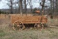 Ozark Wagon Sales Company image 2