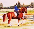 Edgewood Equestrian LLC logo
