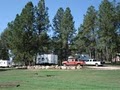 Beaver Lake Campground image 9
