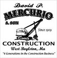 David P. Mercurio & Son Construction logo