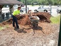 Dirt Works & Bobcat Services Inc image 6