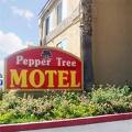 Peppertree Motel Ontario image 2