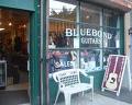 Bluebond Guitars image 5