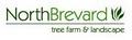 North Brevard Tree Farm & Landscape image 1
