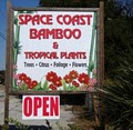 Space Coast Bamboo image 1
