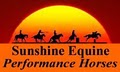 Sunshine Equine Performance Horses logo